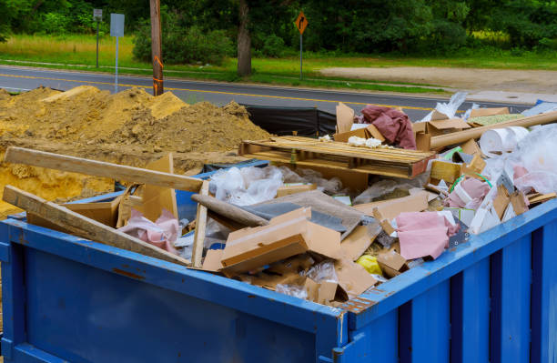 Best Carpet Removal and Disposal  in Louisburg, KS